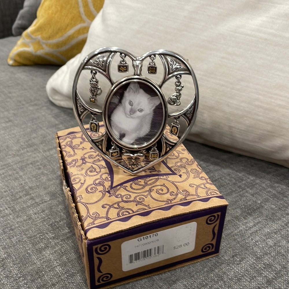 Brand new adorable Brighton Picture frame